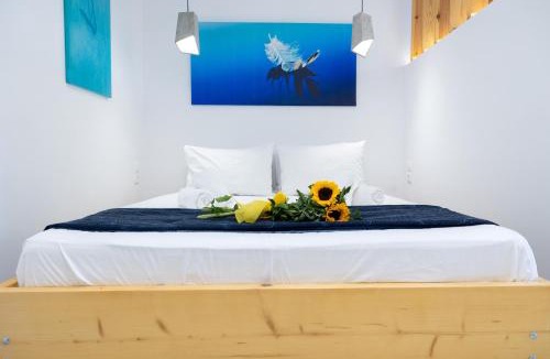 Salamis House | MNS Accommodations