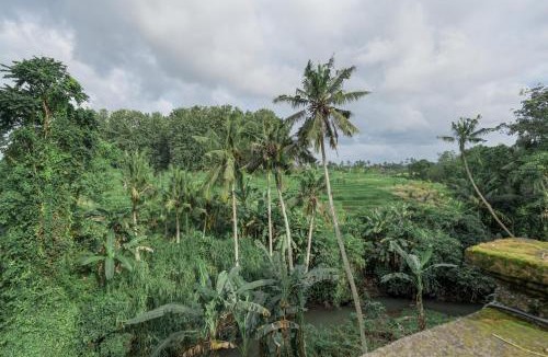 Penatih House | Moon Rock Villas