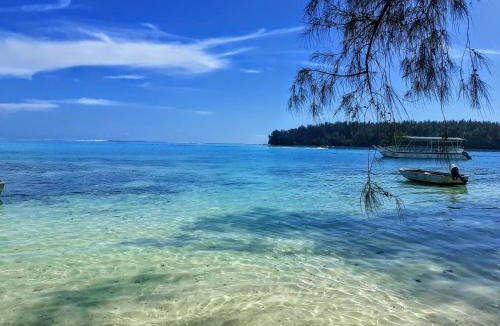 Moorea-Maiao House | MOOREA - Local Spirit 6