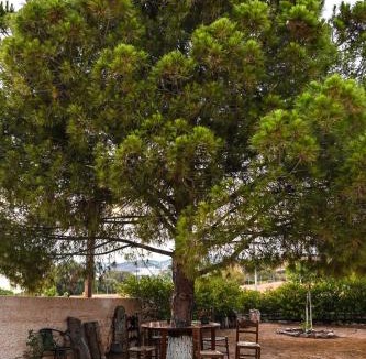 Thymari House | morfo's sunset