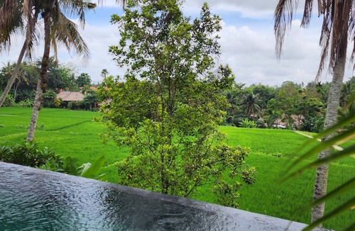 Pengosekan Villa | Motama Villa