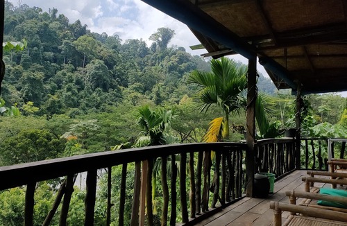Batang Serangan House | Mountain View Cottages & Villa Tangkahan