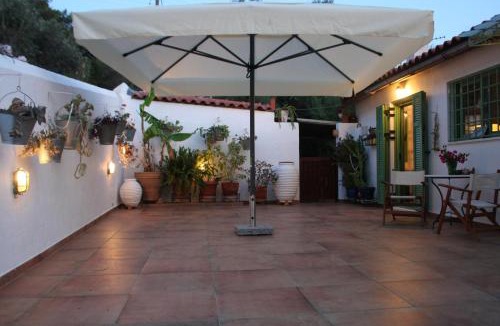 Kontos House | Narcissus