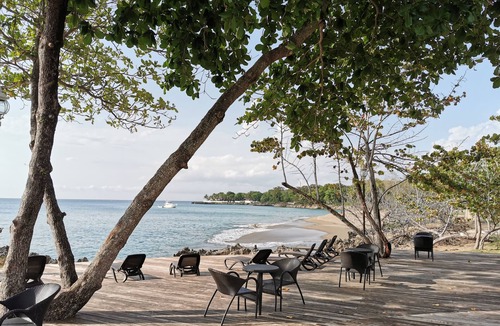 El Batey Apartment | New Listing! Oceanview Penthouse Gated Community Private Beach Maid Service