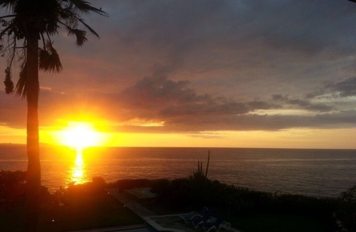 El Batey Apartment | Ocean Front Condo In Down Town Location