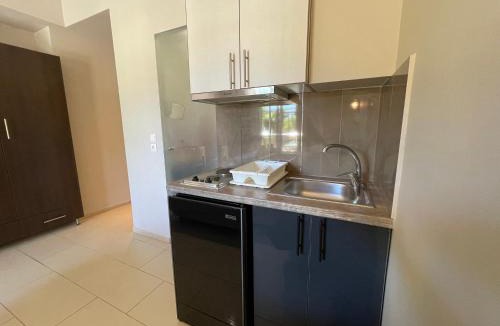 Vassiliki Apartment | Octopus