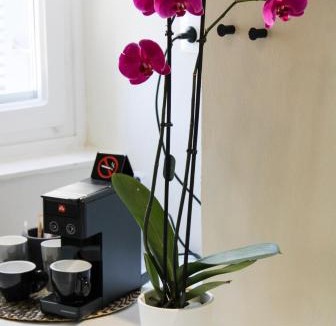 Ermoupoli Hotel | OIKO MINI SUITES