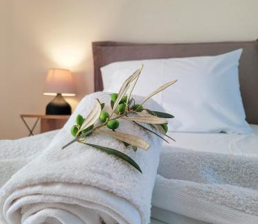 Igoumenitsa Apartment | Olea Apartment