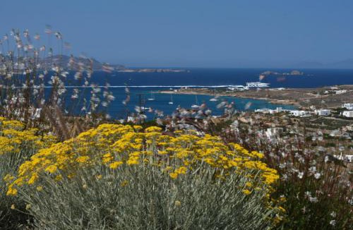 Krotiri Villa | Olithos Villas