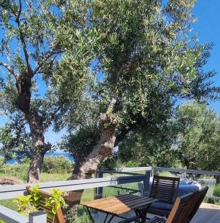 Zakynthos House | Olive Frame
