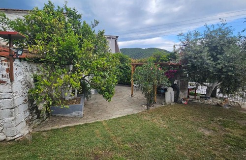 Eleftheres House | Olive Garden Estate