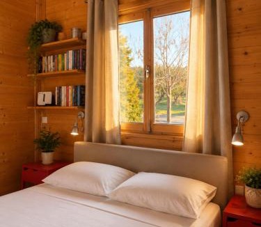 Metochi House | Olive Grove