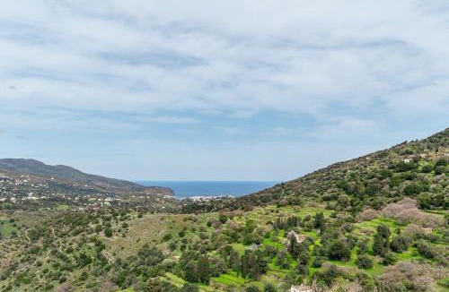 Andros Town Apartment | Olive Guesthouse near farm
