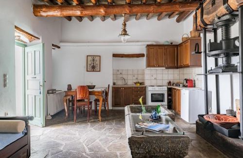 Andros Town Apartment | Olive Guesthouse near farm