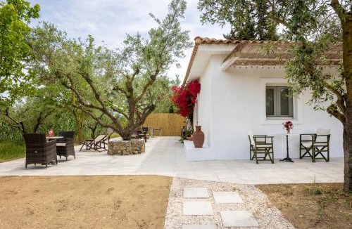 Kalamaki House | Olive House