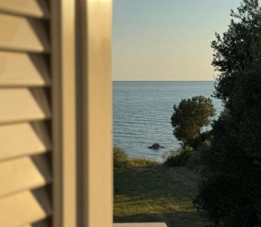 Zalongo House | Olive House Seaside