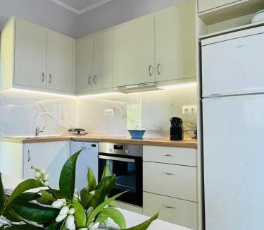 Nikopolis Apartment | Olive Land Spacious Apartment