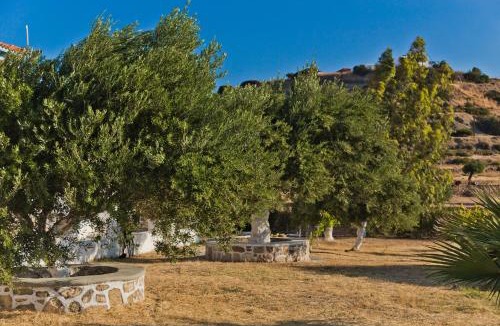 Karpathos Town House | Olive Studios Karpathos Studio #2
