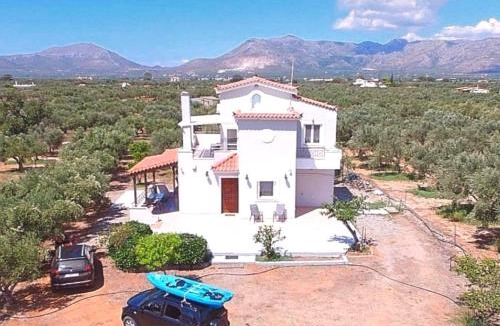 Voia House | Olive Tree House I
