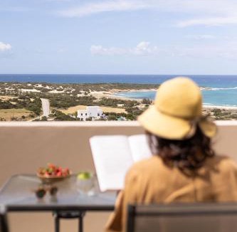 Naxos Apartment | Olive Vista Suites