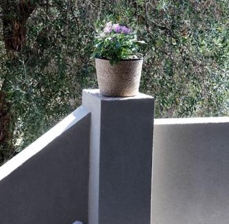 Kato Korakiana Apartment | Olivea's House
