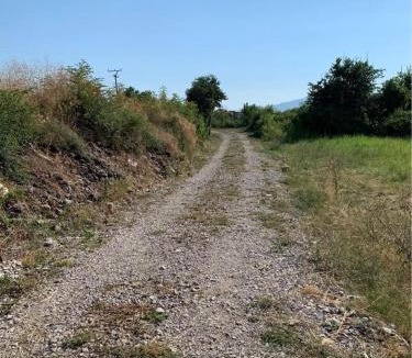 Shkoder County Other | Opened landspace for vehicles and persons to camp
