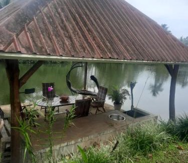 Pacific Harbour Bed & Breakfast | Orchid Island B&B on the River with Pool & Jetty