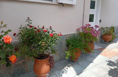 Trikala Apartment | Póe home Trikala