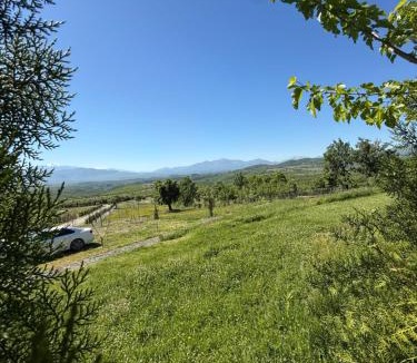 Kukes County Hotel | Panorama Helshan Hotel
