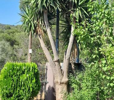 Ormos Agiou Ioannou House | PARADISE