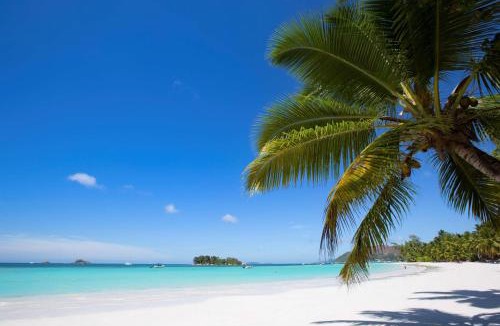 Praslin Island Hotel | Paradise Sun Hotel Seychelles