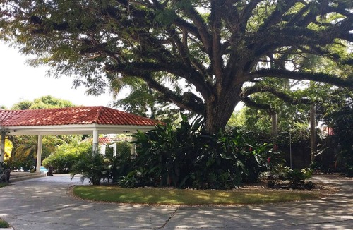 Villas Ana Maria House | Party villa with 8 bedrooms steps from clubs/restaurants/shops. Fully equipped!