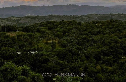 La Vega Villa | Peaceful and amazing place to connect whit nature.