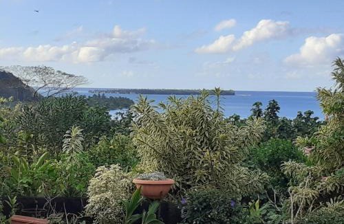 Teahupoo House | Pension Temaeva