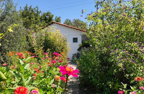 Kolymbia Apartment | Pension Zoi