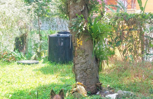 Los Cacaos House | Pet Friendly Studio Next to the River, Mountain View, Wifi, Equipped Kitchen