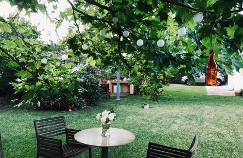 Dhikella Apartment | Plane Tree House