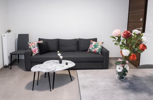 Ioannina Apartment | Poly s home