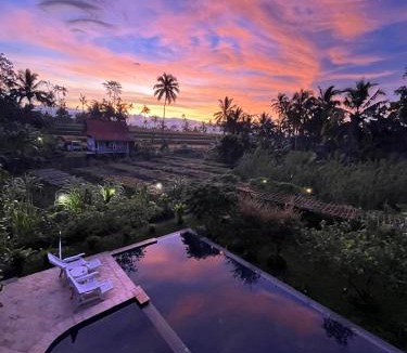 Banyuwangi House | Pondok Is Oke bambo infinity pool