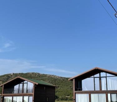 Kryevidh Villa | Posh villa 2