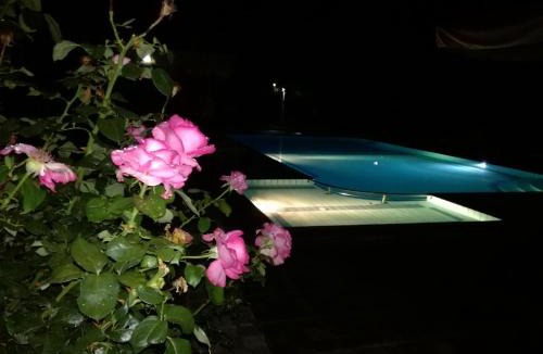 Lefkonas Apartment | Prespa Resort & Spa