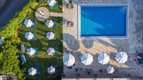 Dassia Hotel | Primavera Hotel