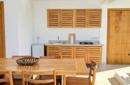 El Callejon Apartment | Private penthouse complete w/jacuzzi and pool - 5 min from the bech