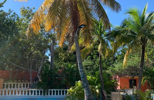 Las Calderas Apartment | Private retreat in one of the natural wonders of the Caribbean