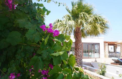 Karpathos Hotel | Punta Mare Hotel