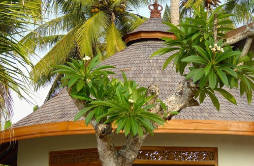 Pekutatan Villa | Puri Dajuma Villas