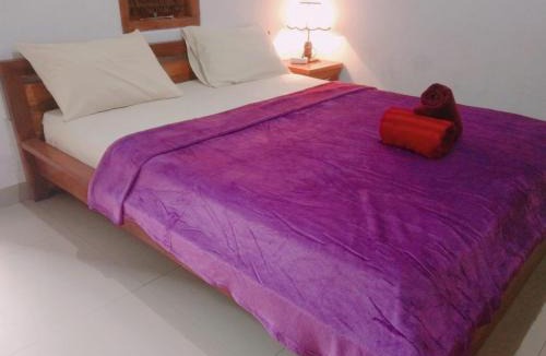 Banjartegehe House | Puri Raka Villa