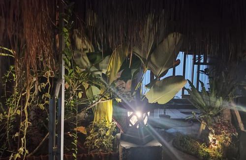 Goris House | Radeva 2 menjangan villa