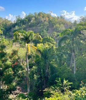 El Limon Other | Rancho Romana Treehouse F04