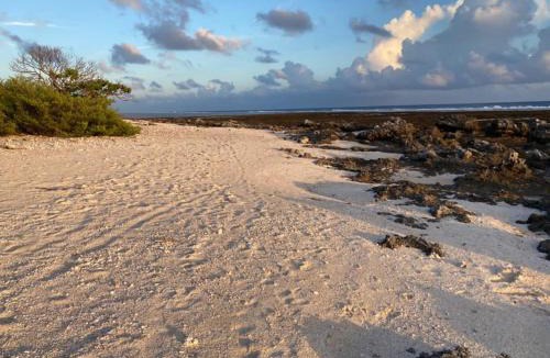 Rangiroa Ski Chalet | Rangiroa Reef Lodge